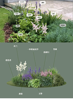 xLepH_TTian采集到绿化