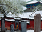 October 9，2012

一名少林寺和尚快步走进寺院中避雪。

摄影：Fritz Hoffmann