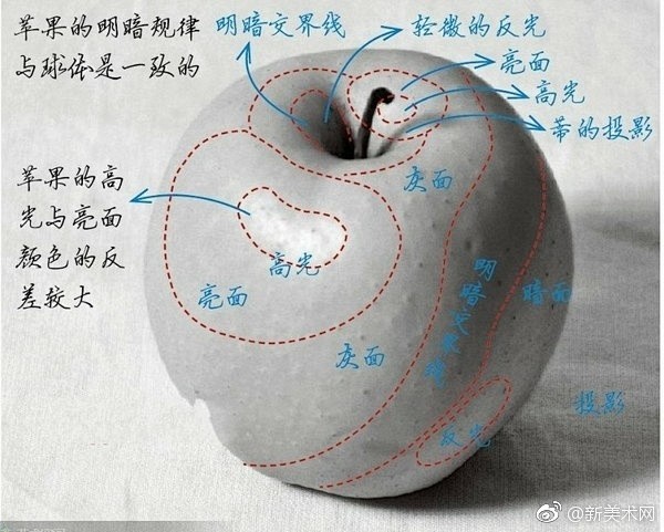 苹果是画素描静物基础的物体，其实画素描苹...