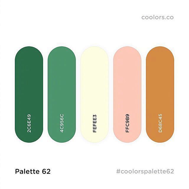 ◱ 高级灰配色
◪ ins：coolor...