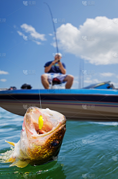 三根火柴·采集到大海/钓鱼/户外