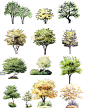 小清新手绘风格景观植物立面ps素材景观效果图PSD植物分层源文件-淘宝网