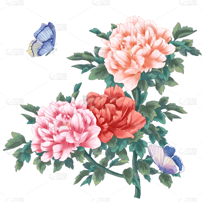 花鸟主题元素大尺寸插画