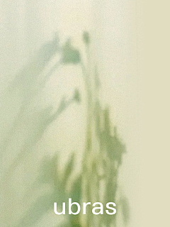 是菠萝蜜呀采集到飒飒