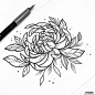 线条菊花纹身手稿