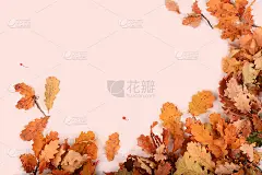 秋天抽象的组成与橡树叶子在粉红色的背景，感恩节的概念，季节的背景，旗帜或屏幕保护程序，贺卡