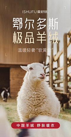 Yaolaohan采集到内衣类