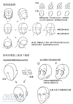 板绘0菜鸡采集到脸部轮廓参考