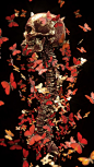 Billelis

-