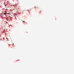 高清粉色手绘落花设计素材_新图网 https://ixintu.com 樱花花卉 花卉 落花 手绘 手绘落花 清新 唯美