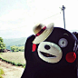 #酷MA萌# #kumamon#