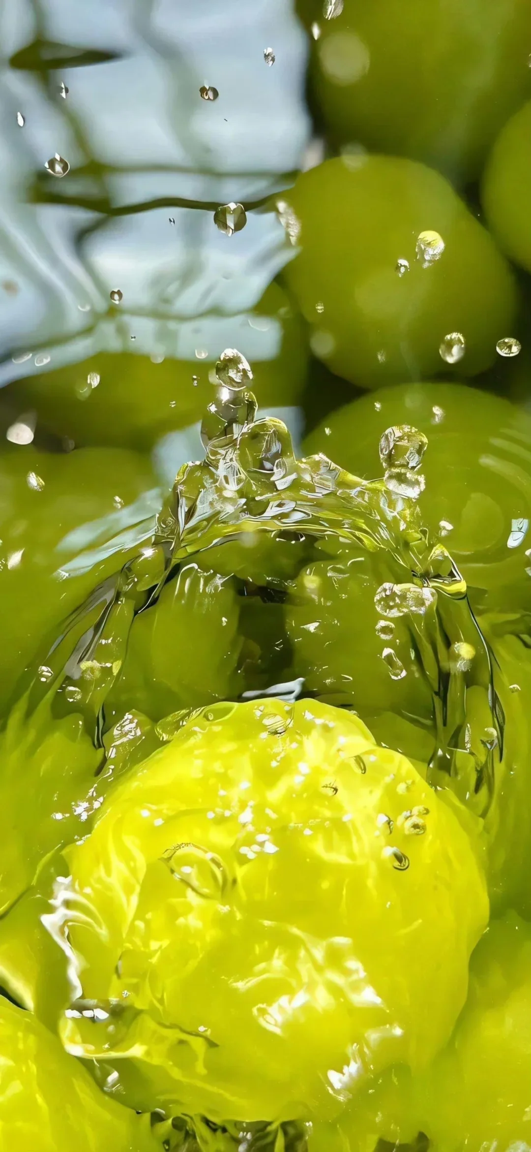 又发现一张还不错的手机壁纸