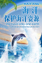 世界海洋日宣传海报