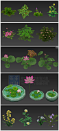 游戏美术素材 植物灌木花草树木 棕榈 荷叶 迎客松 花盆 盆栽 枫叶 落叶 小草 3D模型 手绘贴图 3dmax源文件 CG原画参考设定