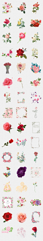 手绘唯美玫瑰花花瓣海报设计png透明素材