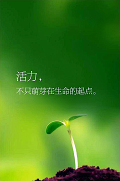 宁馨郁金香采集到字里行间