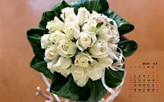 2010年10月花卉宽月历壁纸桌面壁纸3