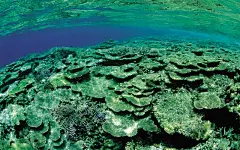 奇幻海底世界高清壁纸桌面壁纸2