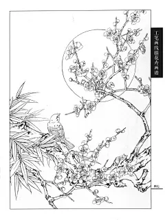 [转载]工笔画线描花卉图谱-梅花_吉利_新浪博客