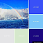 Blue  Aquatic  Vacation Goals Color Palette Inspiration.  Digital Art Palette And Brand Color Palette.