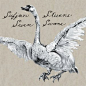 Seven Swans Sufjan Stevens专辑 Seven Swansmp3下载 在线试听