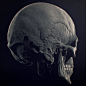 Skull, Ivan Mityaev : Skull by Ivan Mityaev on ArtStation.