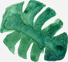 水彩芙蓉花卉艺术手绘彩绘水彩插画高清素材 免扣手绘彩绘水彩插画 水彩芙蓉花卉艺术免扣 免抠png 设计图片 免费下载