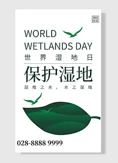 世界湿地日保护湿地湿地之水水之湿地海报设计