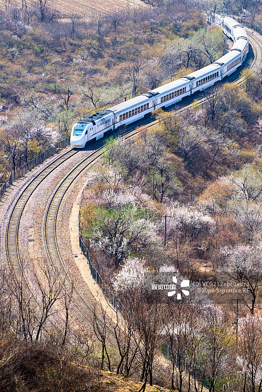 居庸关花丛中的高铁图片素材_ID:VCG...