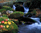 waterfalls - Wallpaper (#2155338) / Wallbase.cc