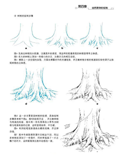 街边扫地的大爷采集到场景-植物