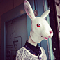 日本原装兔头人面具（兔头/兔子面具/兔头人头套/犬马君/兔面） 原创 设计 新款 2013 正品 代购  欧洲