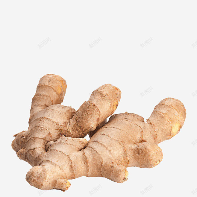 生姜食材
