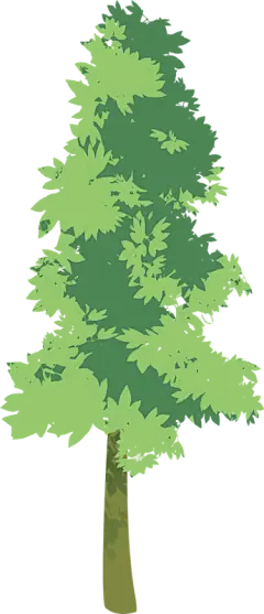夏季节气写实噪点完整插画A-树