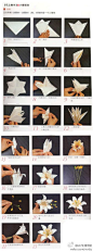 六瓣百合花折纸DIY教程…_来自Caliburn的图片分享-堆糖网