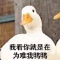 来自分享