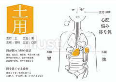 炽翼飞龙采集到医疗