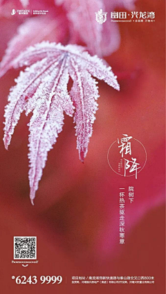 木英Echo采集到手机海报-节气