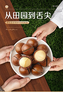 沃达软采集到夏威夷果