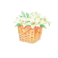 画了一组花与竹篮的插画希望喜欢（约稿私信） ​​​​