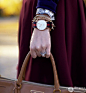 DanielWellington