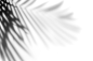 光影png素材