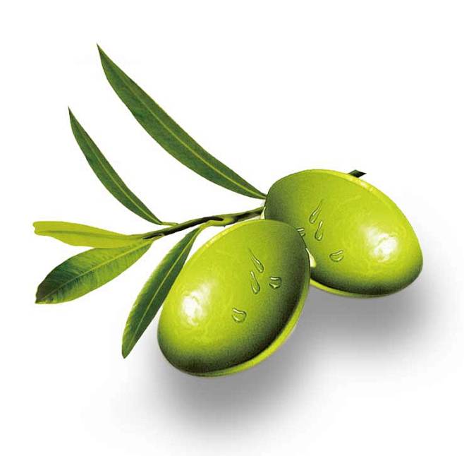 地中海橄榄油的搜索结果_百度图片搜索