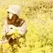 KHprn_蒲公英