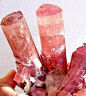 Tourmaline with Lepidolite and Quartz - Himalaya Mine, San Diego County, California, USA