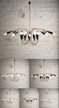Delightfull Aretha Chandelier: 