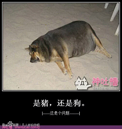 青春都会苍老采集到这。。。