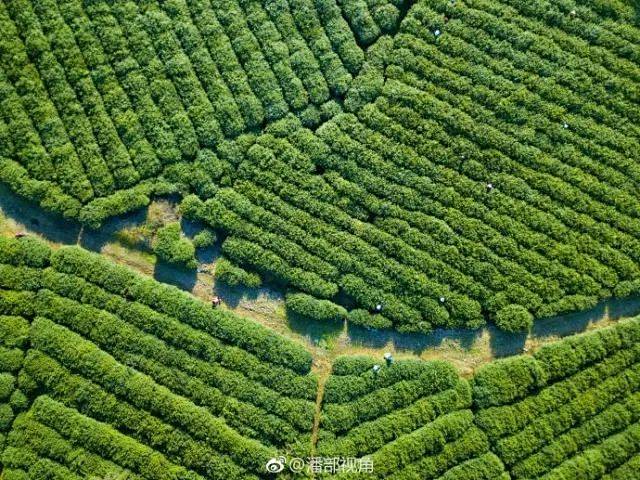 百度识图搜索结果