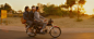 The Darjeeling Limited