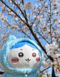 吉伊卡哇CHiicawa (44)